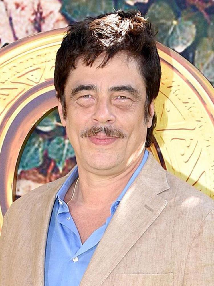 Photo of Benicio del Toro