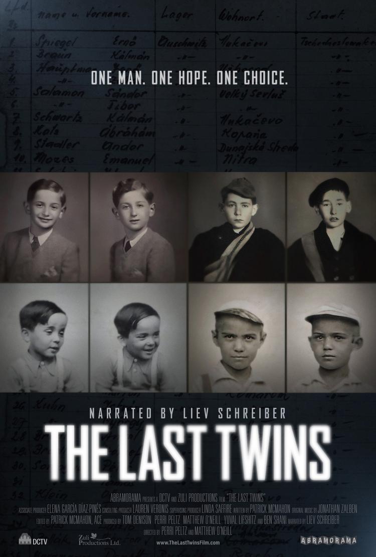 Poster of The Last Twins