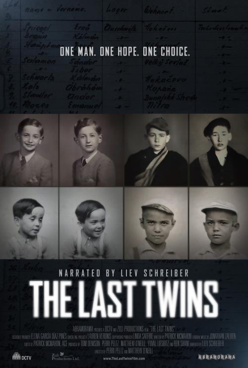 Poster of The Last Twins