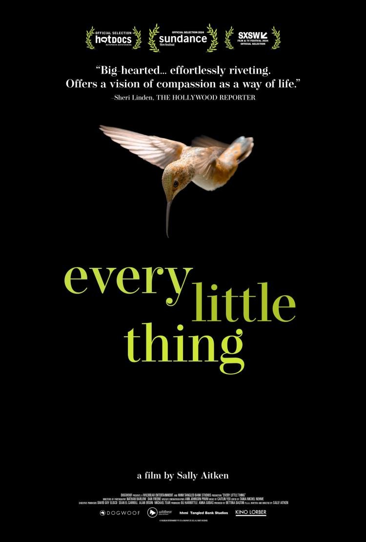 Poster of Every Little Thing