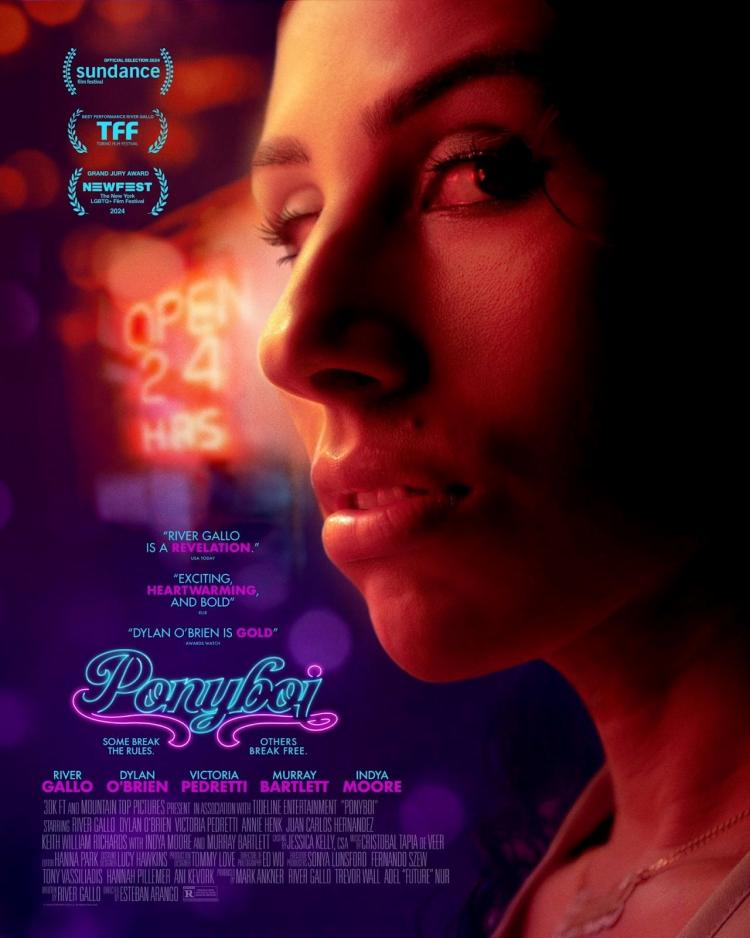 Poster of Ponyboi