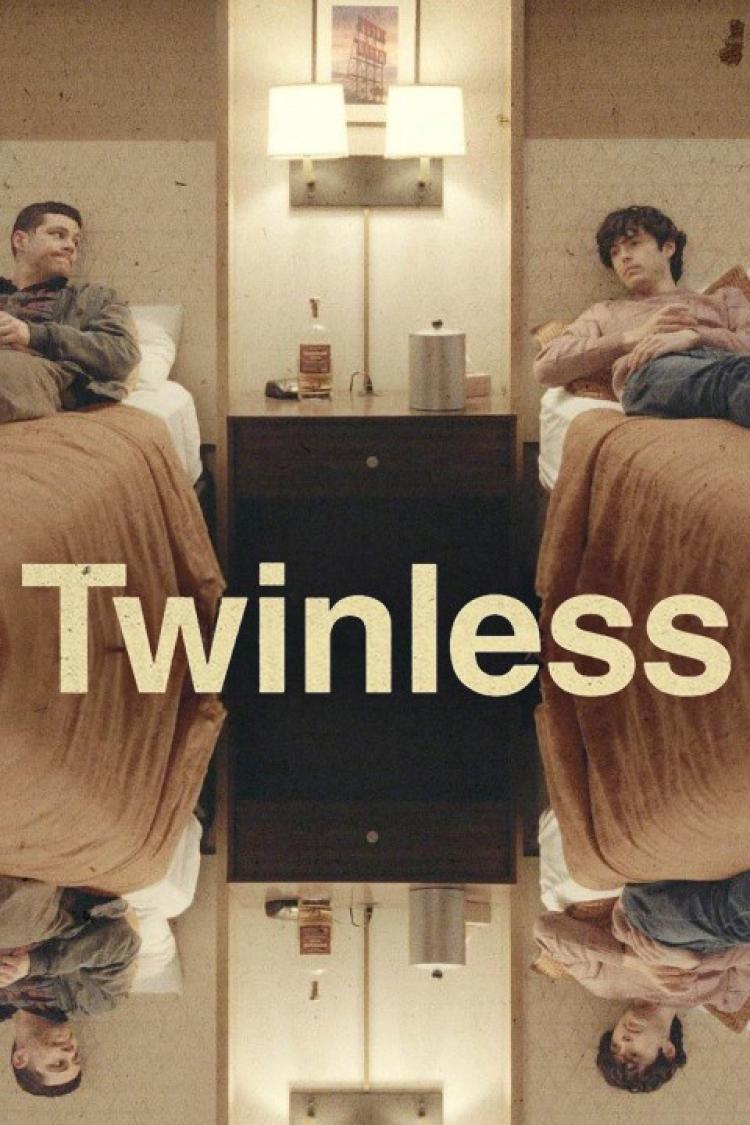 Poster of Twinless