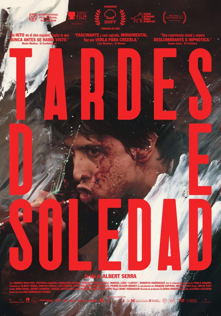 Poster of Afternoons of Solitude