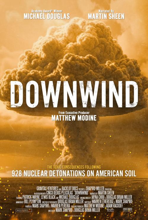 Poster of Downwind
