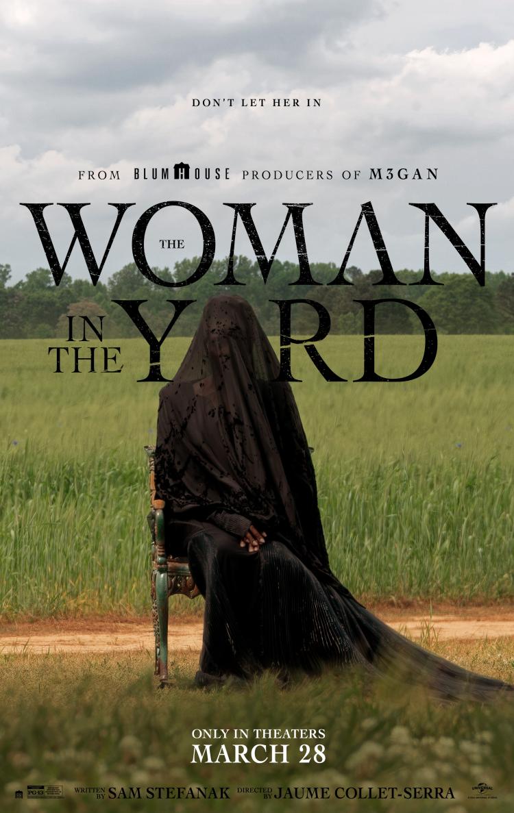 Poster of The Woman in the Yard