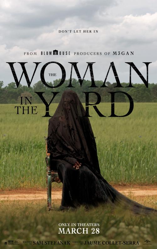 Poster of The Woman in the Yard