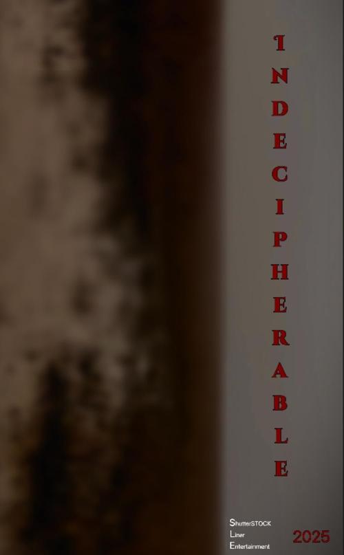 Poster of Indecipherable