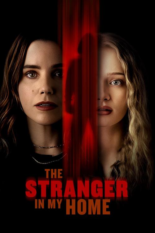 Poster of The Stranger in My Home
