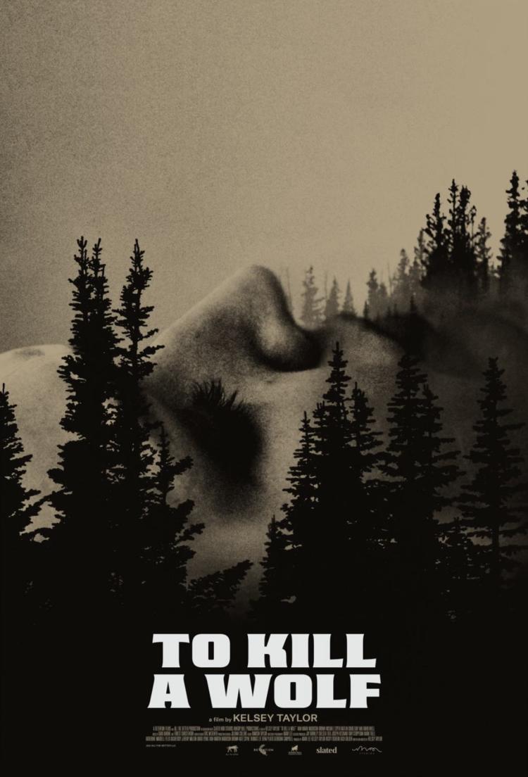 Poster of To Kill a Wolf