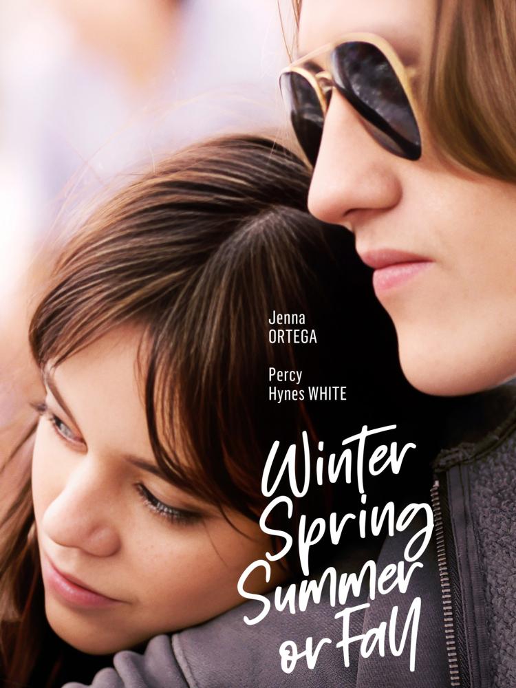 Poster of Winter Spring Summer or Fall