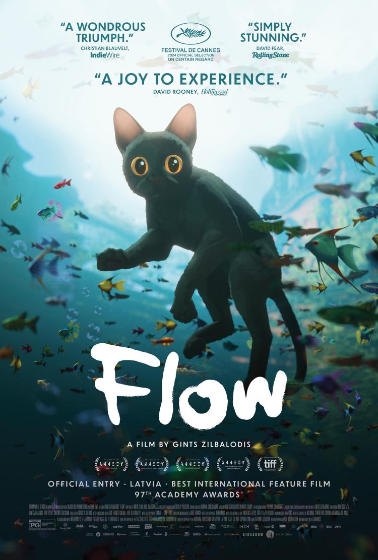 Poster of Flow