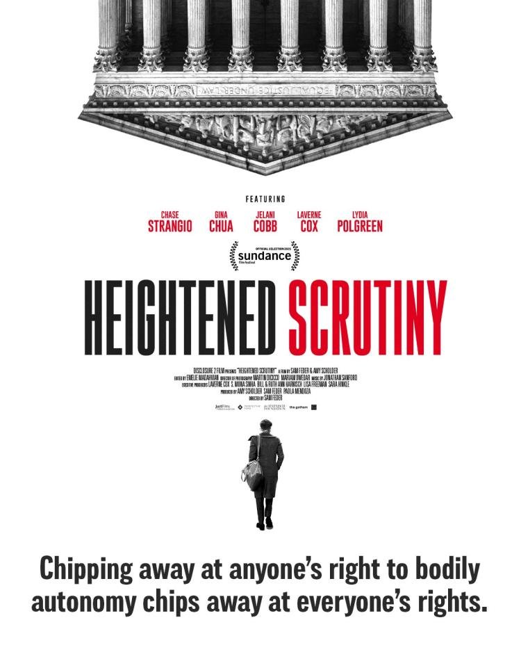 Poster of Heightened Scrutiny