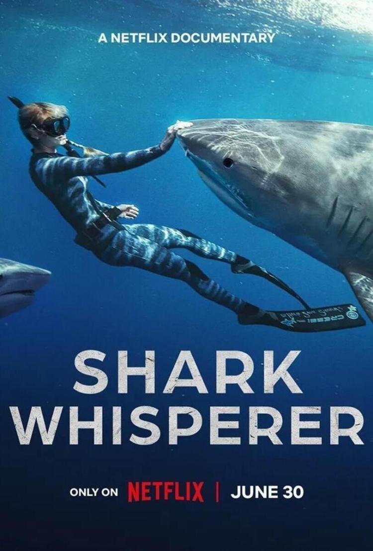 Poster of Shark Whisperer