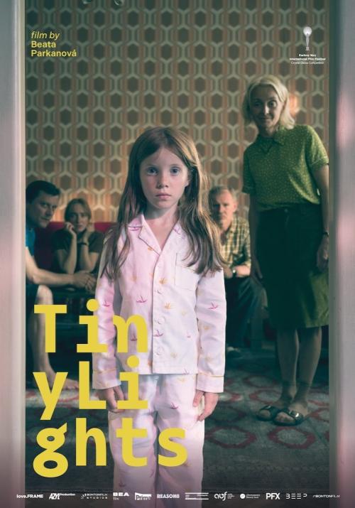 Poster of Tiny Lights