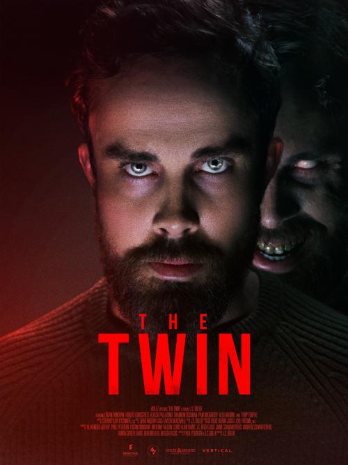 Poster of The Twin