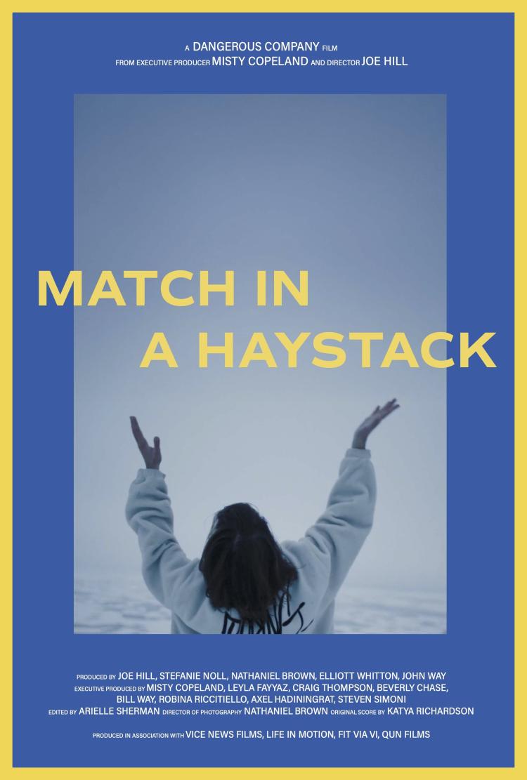 Poster of Match in a Haystack