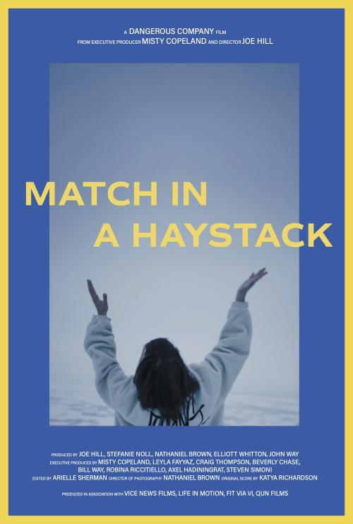 Poster of Match in a Haystack