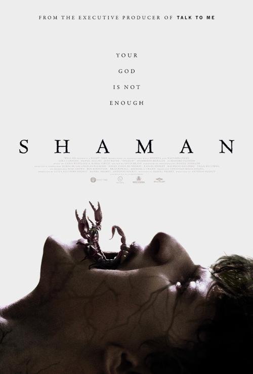 Poster of Shaman