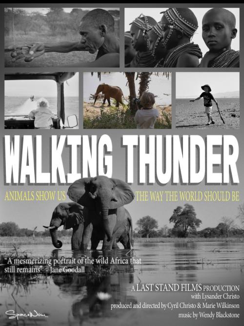 Poster of Walking Thunder