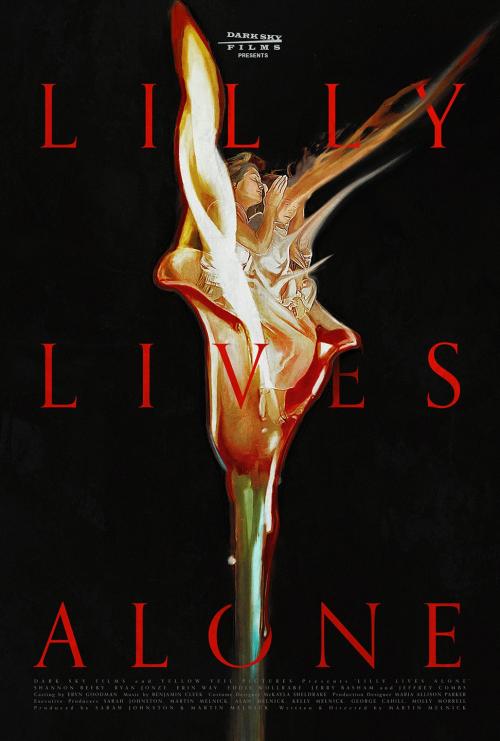 Poster of Lilly Lives Alone