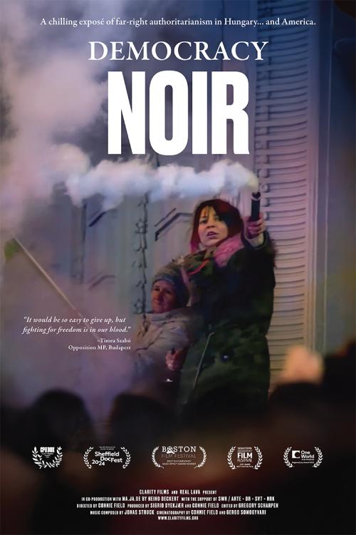 Poster of Democracy Noir