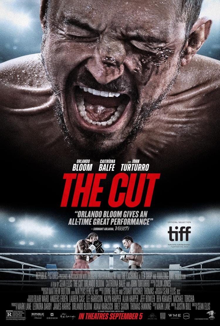 Poster of The Cut