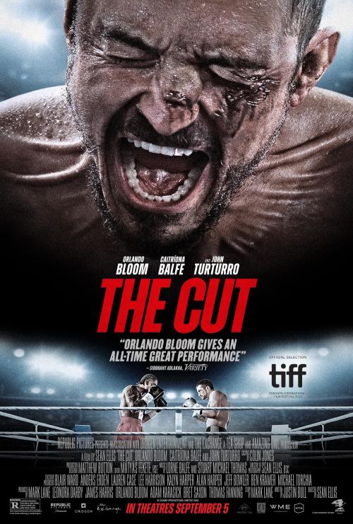 Poster of The Cut