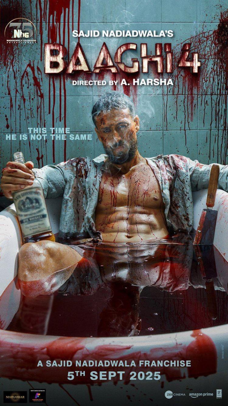 Poster of Baaghi 4