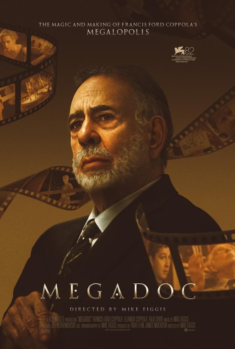 Poster of Megadoc