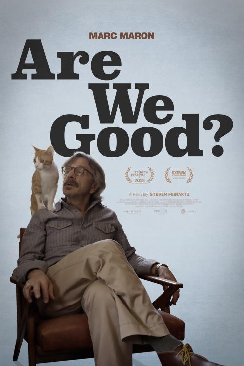 Poster of Are We Good?
