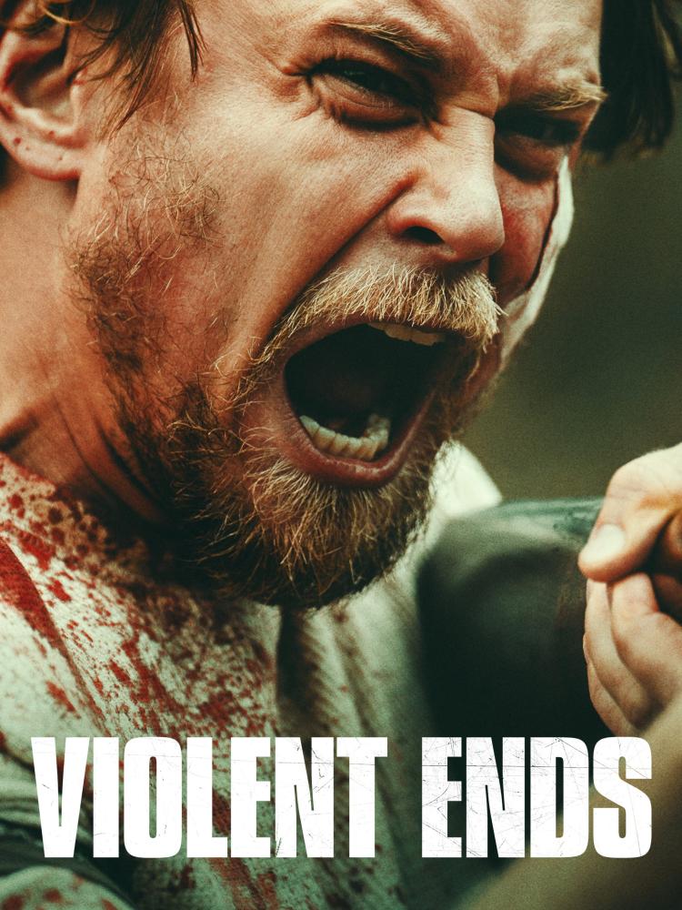 Poster of Violent Ends