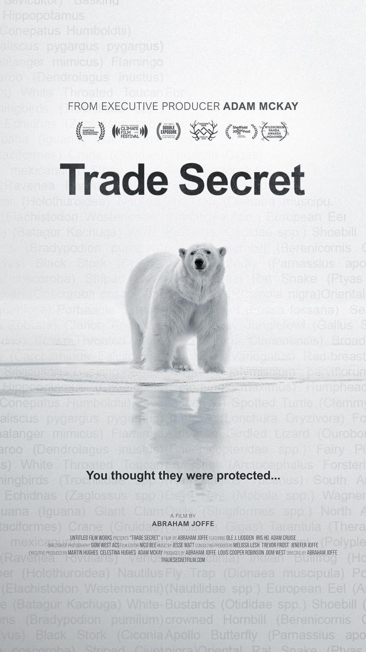 Poster of Trade Secret