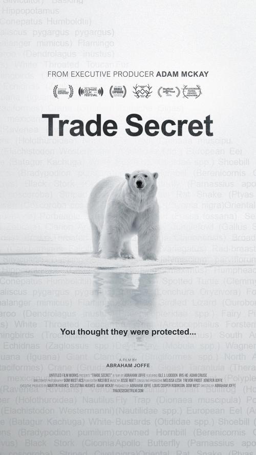 Poster of Trade Secret