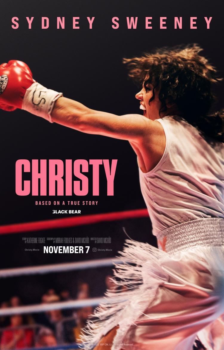 Poster of Christy