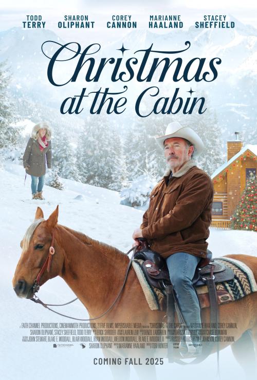 Poster of Christmas at the Cabin