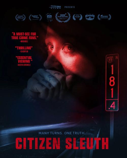 Poster of Citizen Sleuth
