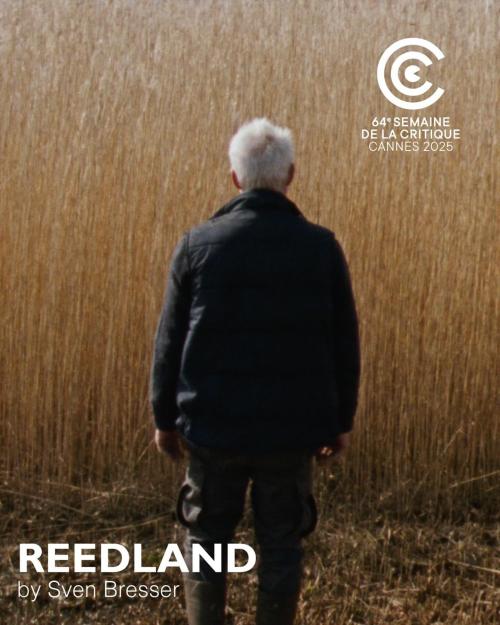 Poster of Reedland