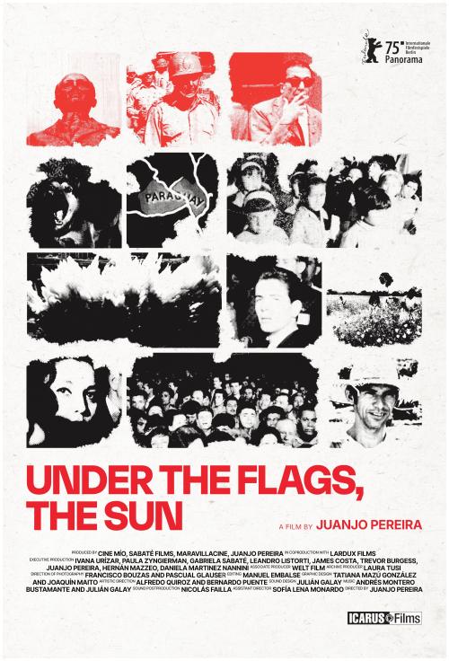 Poster of Under the Flags, the Sun