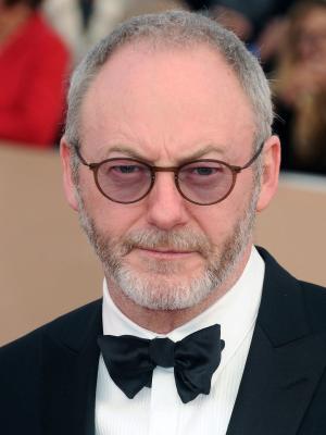 Liam Cunningham