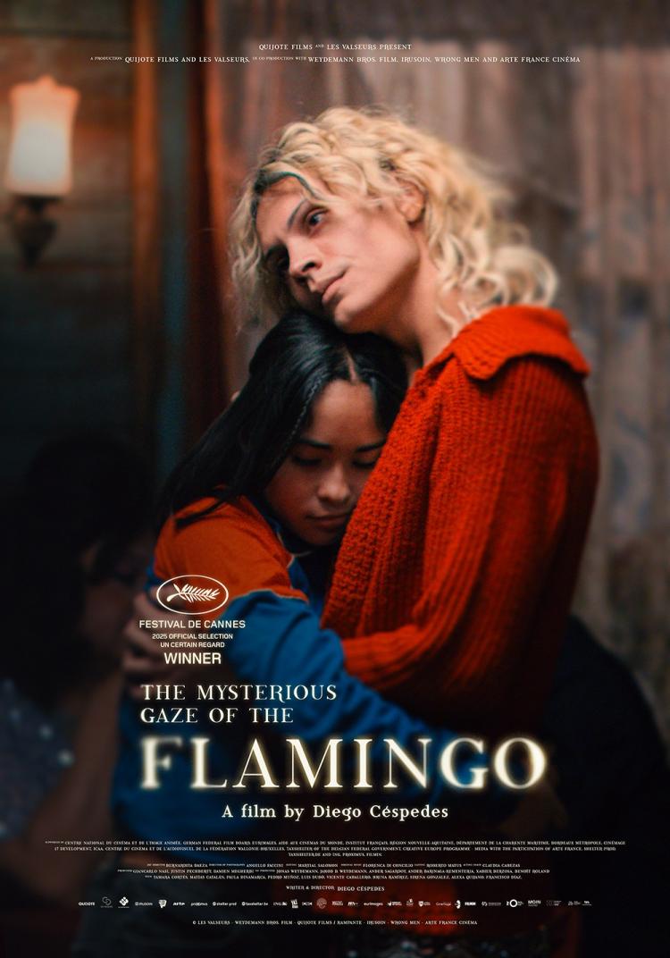 Poster of The Mysterious Gaze of the Flamingo