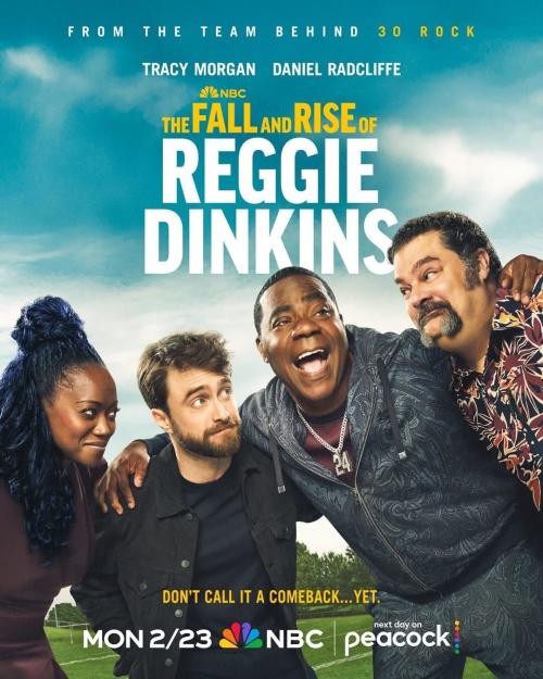 Poster of The Fall and Rise of Reggie Dinkins
