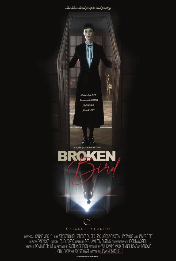 Poster of Broken Bird