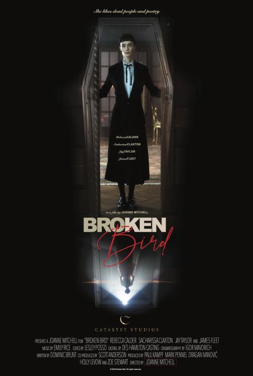 Poster of Broken Bird