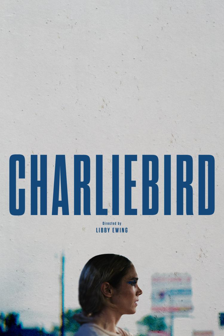 Poster of Charliebird