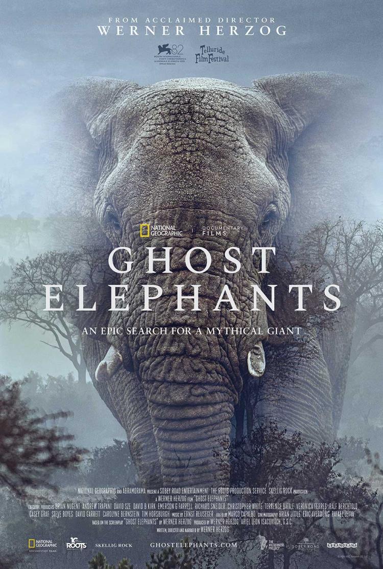 Poster of Ghost Elephants