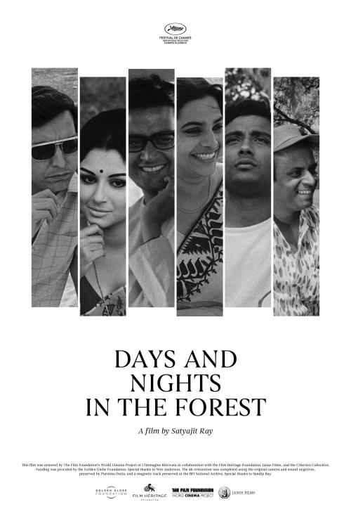 Poster of Days and Nights in the Forest