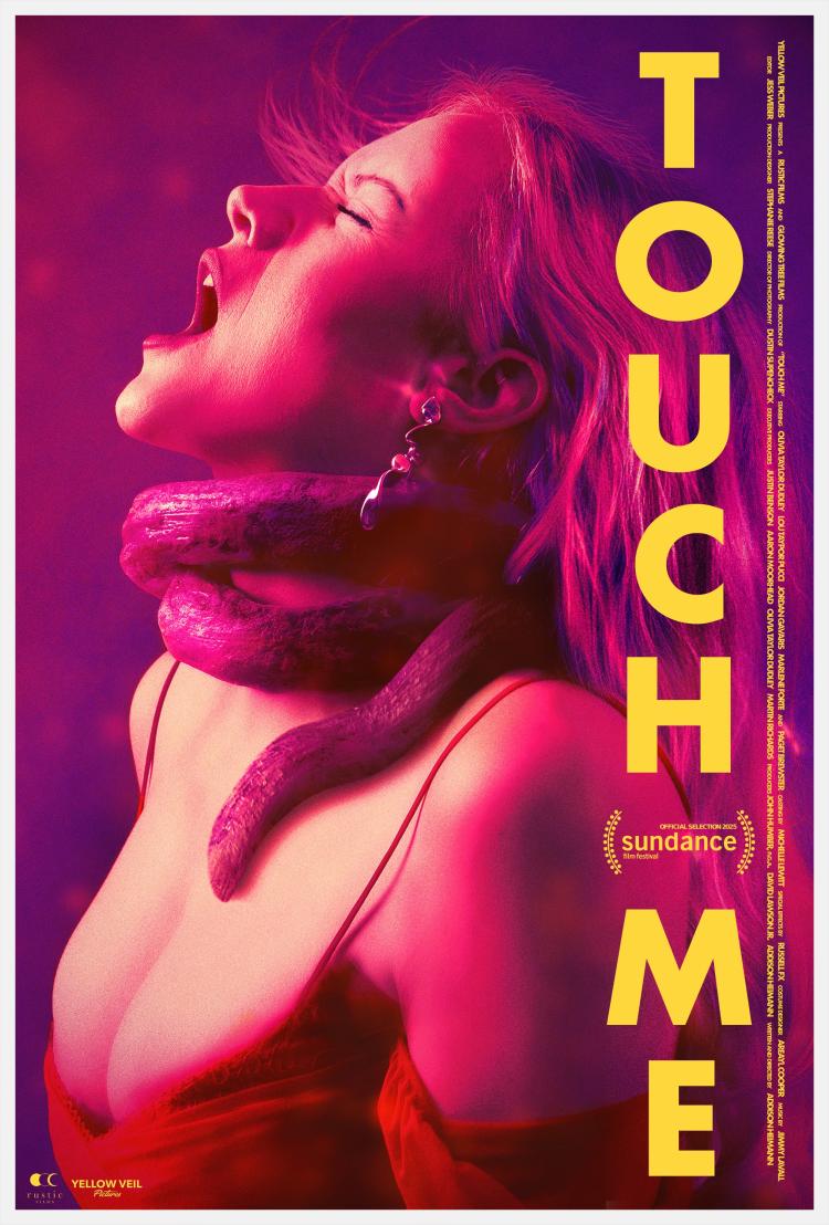 Poster of Touch Me