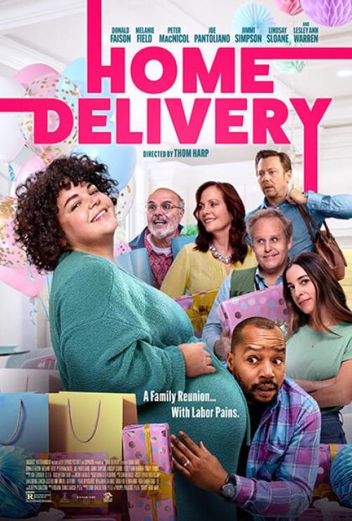 Poster of Home Delivery