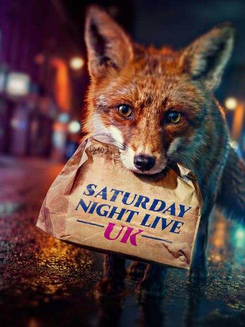 Poster of Saturday Night Live UK