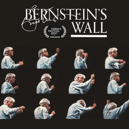 Poster of Bernstein's Wall